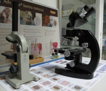 Badanie mikroskopowe